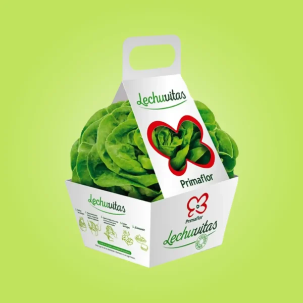 Vegetable Boxes